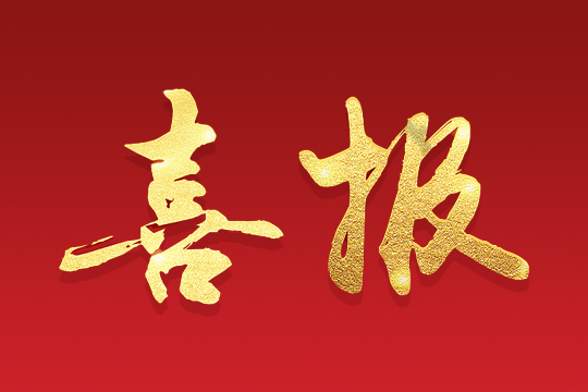 喜报 | MILE米乐荣获“深圳知名品牌”荣誉称号！